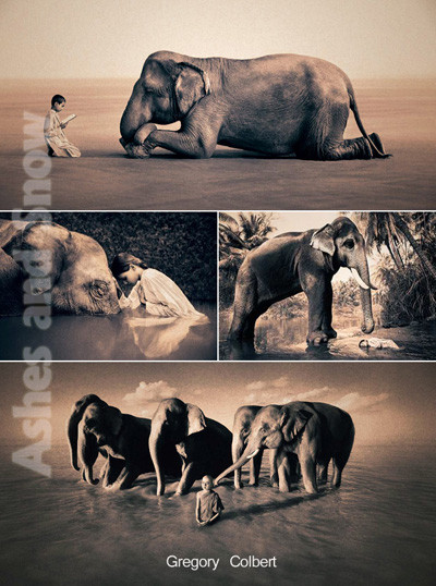 尘与雪 Ashes and Snow [2005][剧情 / 纪录片][美国]