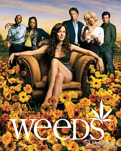 单身毒妈 Weeds S01~S08 [完结][美剧]