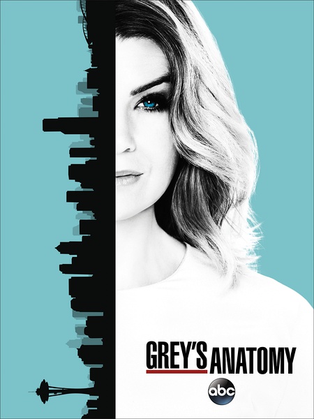 实习医生格蕾 Grey's Anatomy S12~S013 [更新至S13E05][美剧]