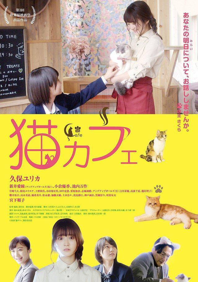 猫咪咖啡厅 猫カフェ [蓝光720p/1080p日语中字][剧情][2018][日本]
