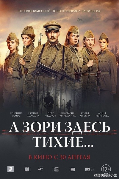 这里的黎明静悄悄 [2015][剧情 / 战争][俄罗斯]