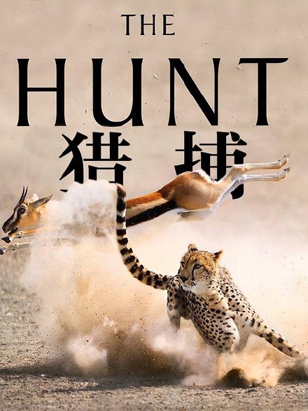 BBC：狩猎 The Hunt [2015][纪录片][英国]