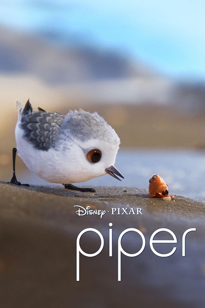 鹬 Piper [2016][动画 / 短片][美国]