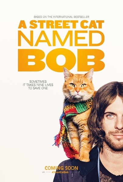 流浪猫鲍勃 A Street Cat Named Bob [2016][剧情 / 喜剧 / 传记][英国]