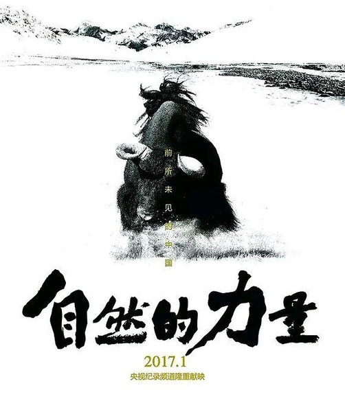 CCTV ：自然的力量 [2016][ 纪录片][中国大陆]
