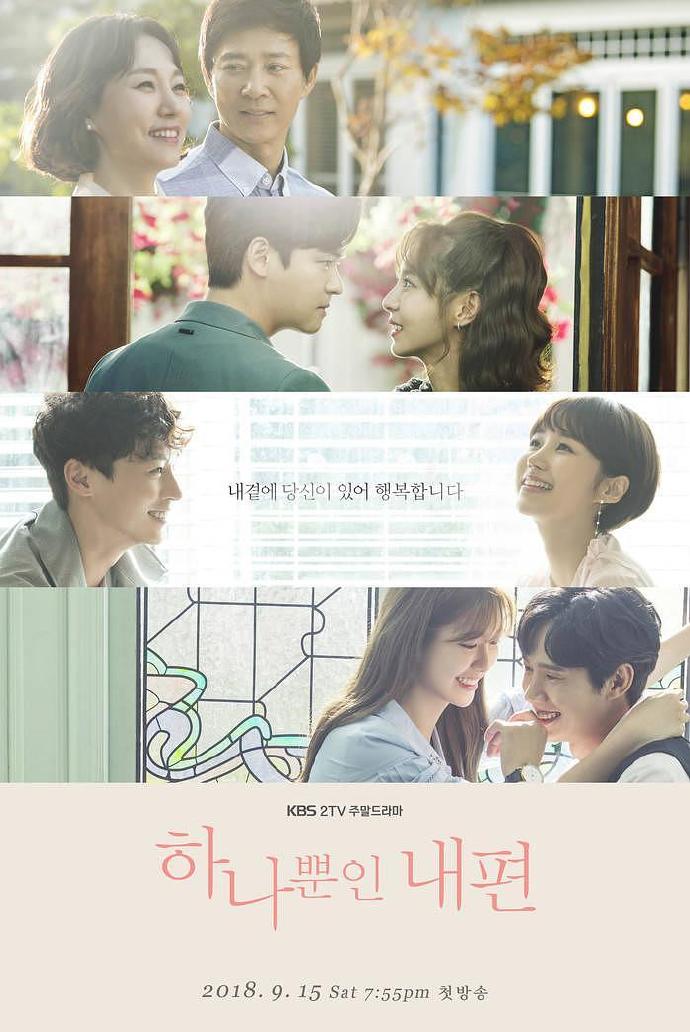 我唯一的拥护者 하나뿐인 내편 [更新至04][2018][韩剧]