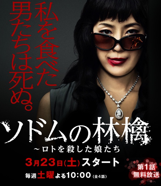 索多玛的苹果 ソドムの林檎～ロトを殺した娘たち [完结][日剧]