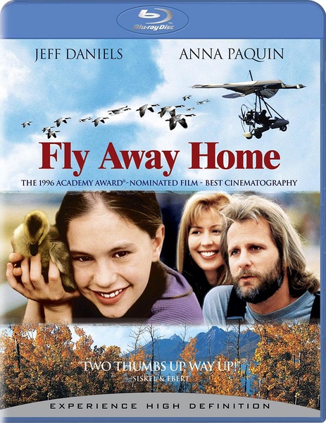 伴你高飞 Fly Away Home [1996][剧情 / 家庭 / 冒险][美国]