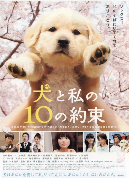 狗狗与我的十个约定 犬と私の10の約束 [2008][剧情 / 喜剧 / 爱情][日本]