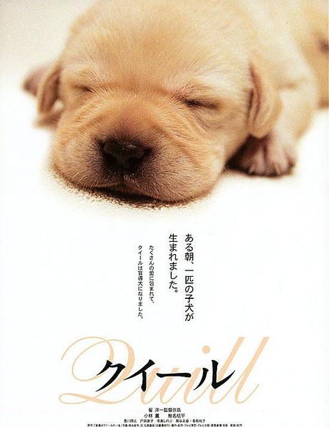 导盲犬小Q クイール [2004][ 剧情][日本]