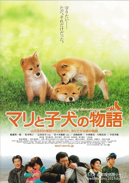 爱犬的奇迹 マリと子犬の物語 [2007][剧情][日本]