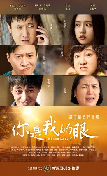 你是我的眼 [完结][国产]