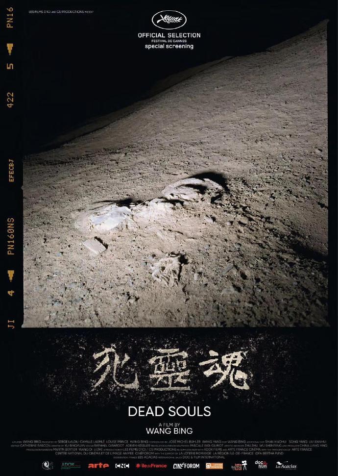 死灵魂 [WEB-DL720p国语法字][2018][纪录片][中国大陆/法国/瑞士]