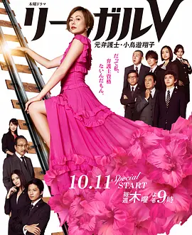 リーガルV～元弁護士・小鳥遊翔子～