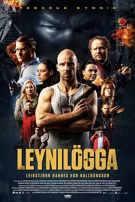 Leynilögga