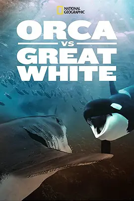 Orca vs. Great White